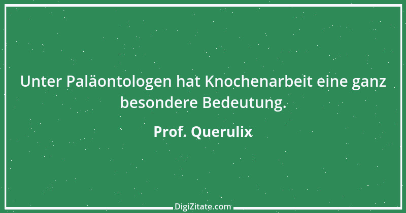 Zitat von Prof. Querulix 281