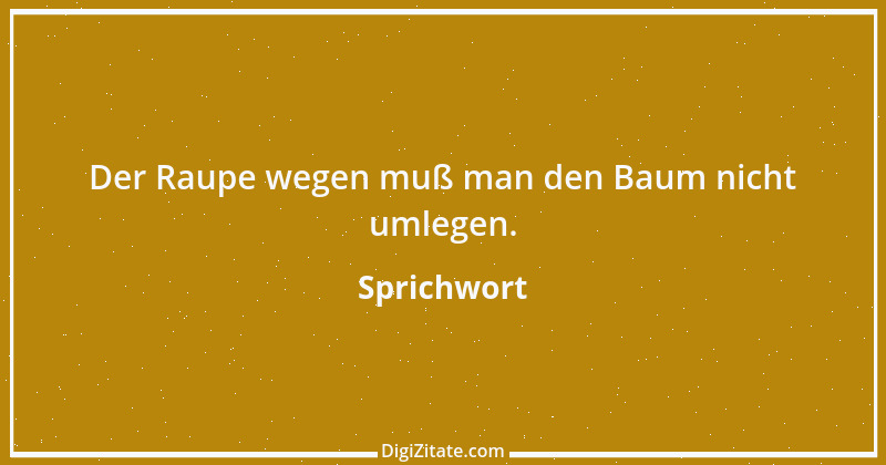 Zitat von Sprichwort 5981