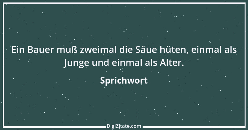 Zitat von Sprichwort 7981