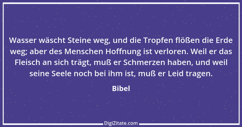 Zitat von Bibel 25