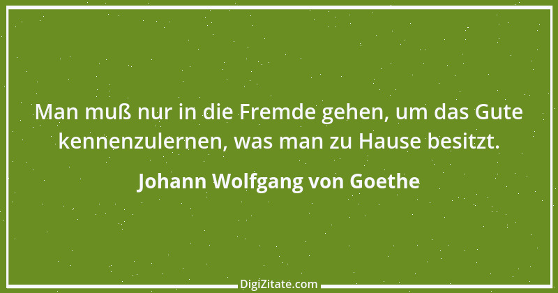 Zitat von Johann Wolfgang von Goethe 3990