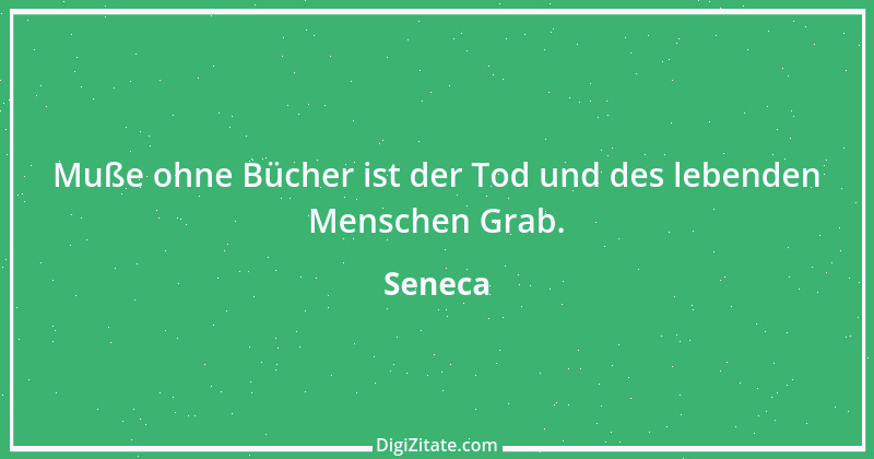 Zitat von Seneca 127