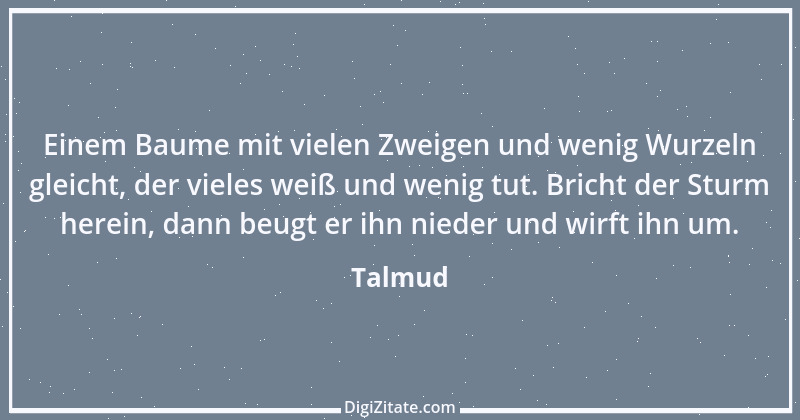 Zitat von Talmud 297