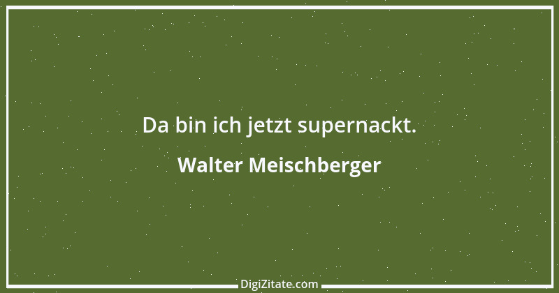 Zitat von Walter Meischberger 1