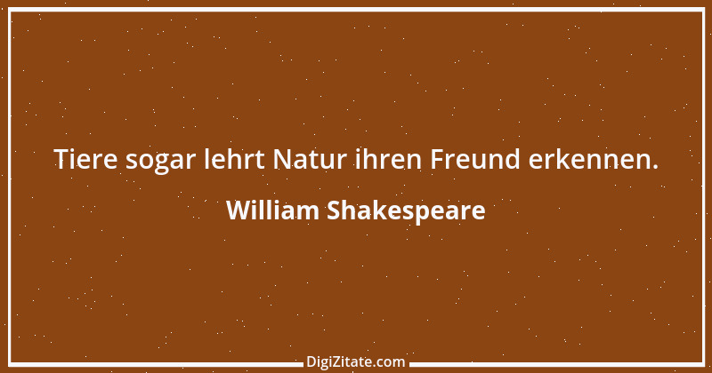 Zitat von William Shakespeare 577