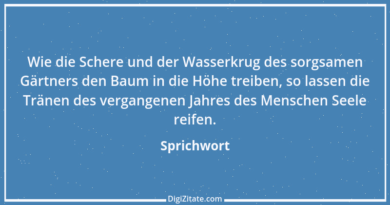 Zitat von Sprichwort 8984