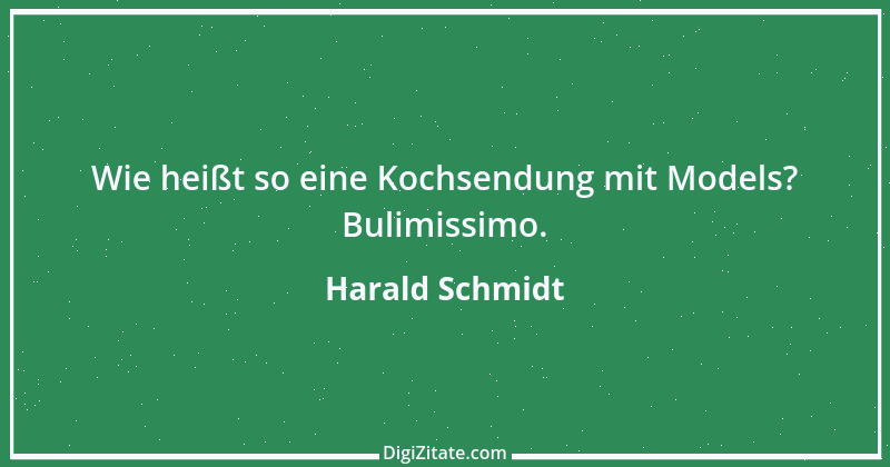 Zitat von Harald Schmidt 312