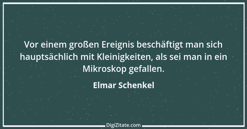 Zitat von Elmar Schenkel 208