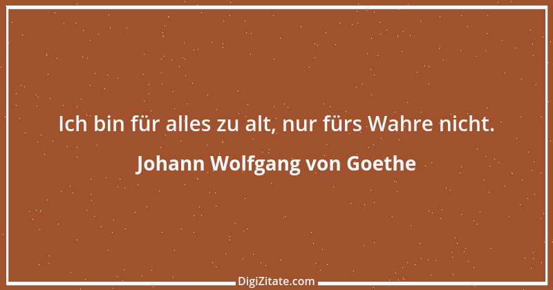 Zitat von Johann Wolfgang von Goethe 3995