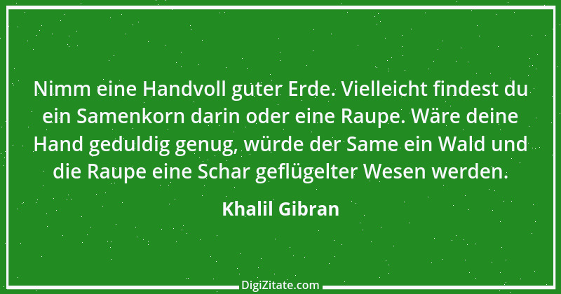 Zitat von Khalil Gibran 165