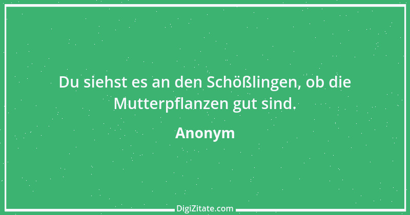 Zitat von Anonym 4721