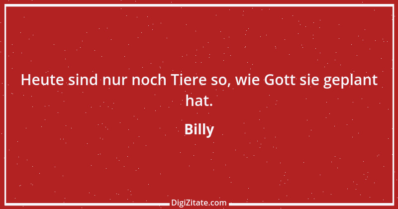 Zitat von Billy 832