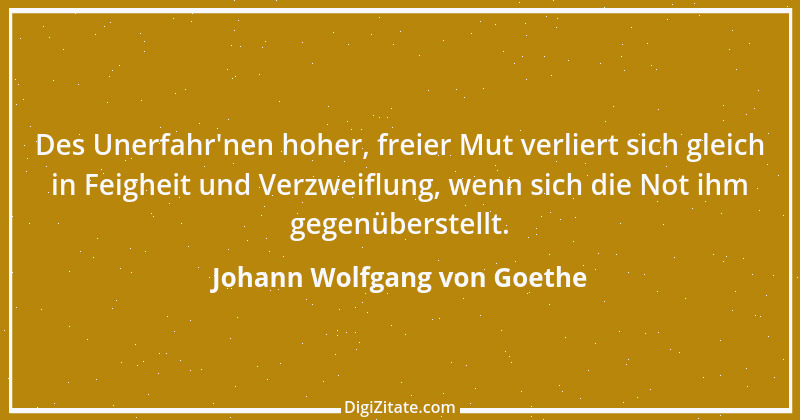 Zitat von Johann Wolfgang von Goethe 1753