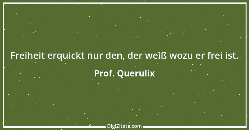 Zitat von Prof. Querulix 45