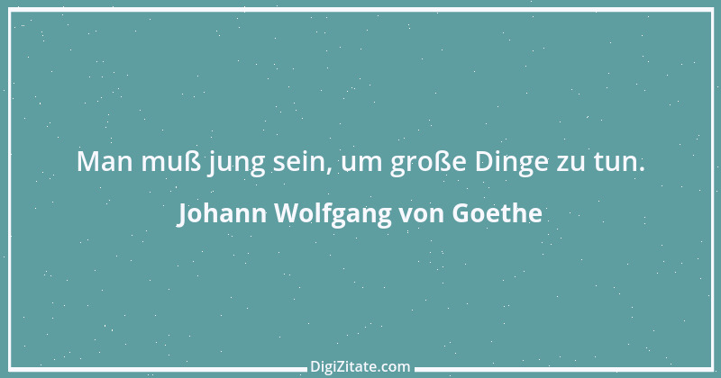 Zitat von Johann Wolfgang von Goethe 3996