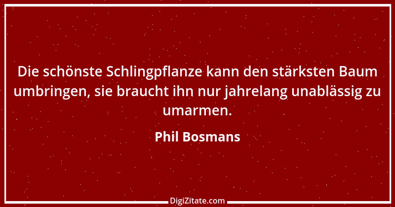 Zitat von Phil Bosmans 250