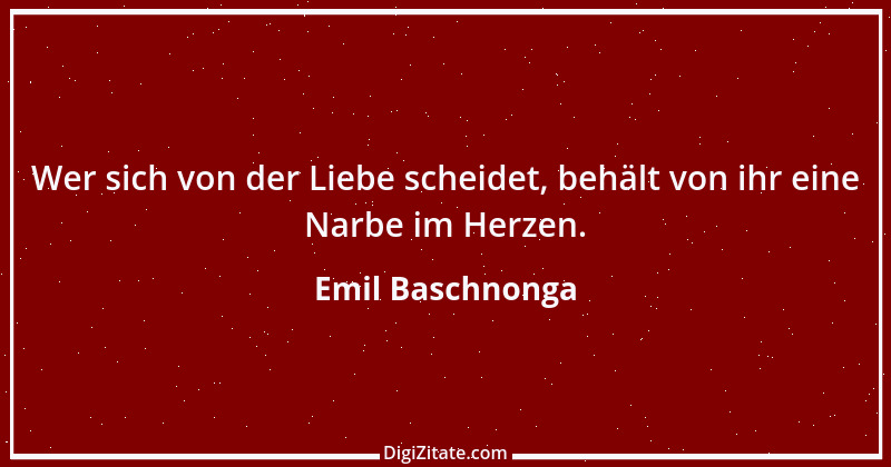 Zitat von Emil Baschnonga 393