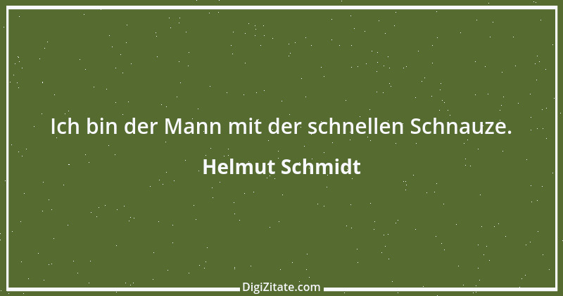 Zitat von Helmut Schmidt 11