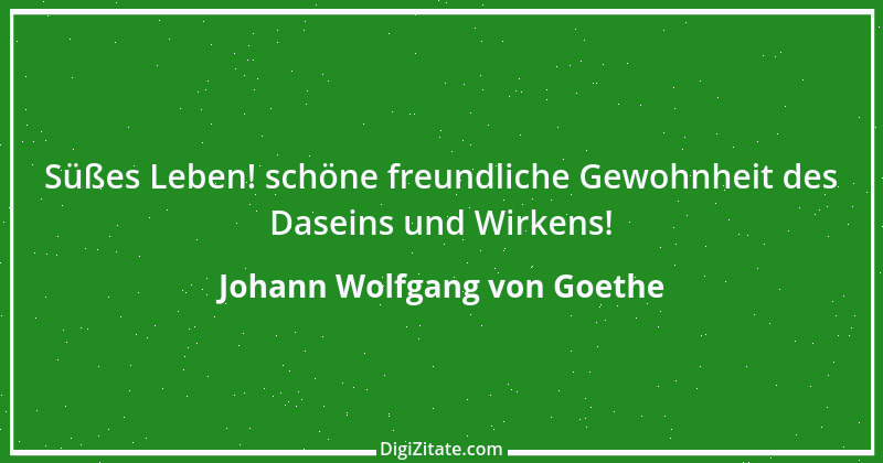 Zitat von Johann Wolfgang von Goethe 2997