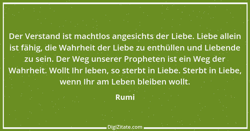 Zitat von Rumi 8