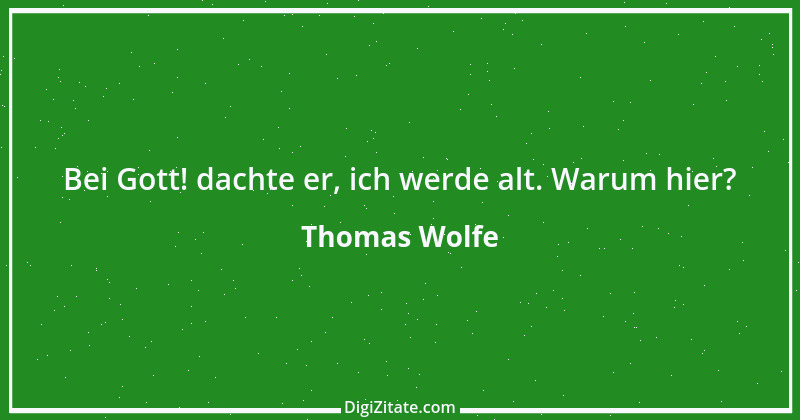 Zitat von Thomas Wolfe 13