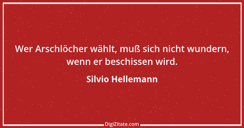 Zitat von Silvio Hellemann 1