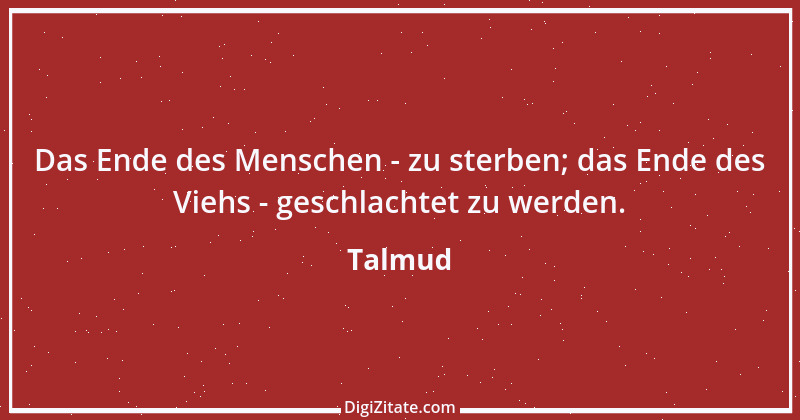 Zitat von Talmud 304