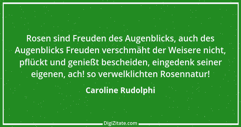 Zitat von Caroline Rudolphi 1