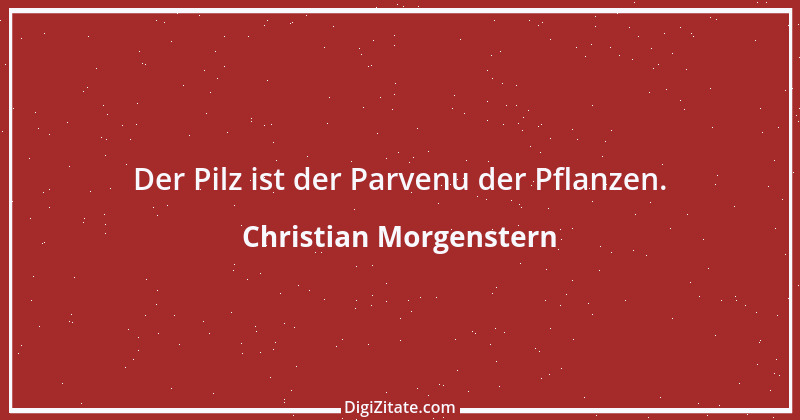 Zitat von Christian Morgenstern 525