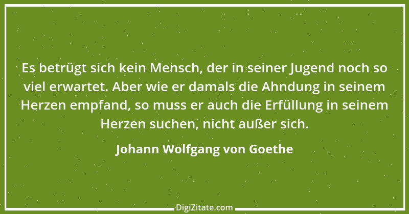 Zitat von Johann Wolfgang von Goethe 1002