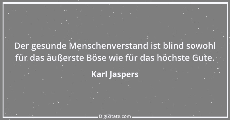 Zitat von Karl Jaspers 28