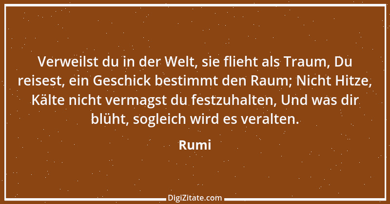 Zitat von Rumi 13