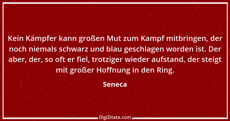 Zitat von Seneca 138