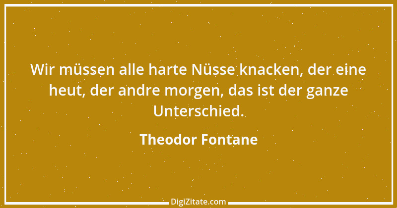 Zitat von Theodor Fontane 264