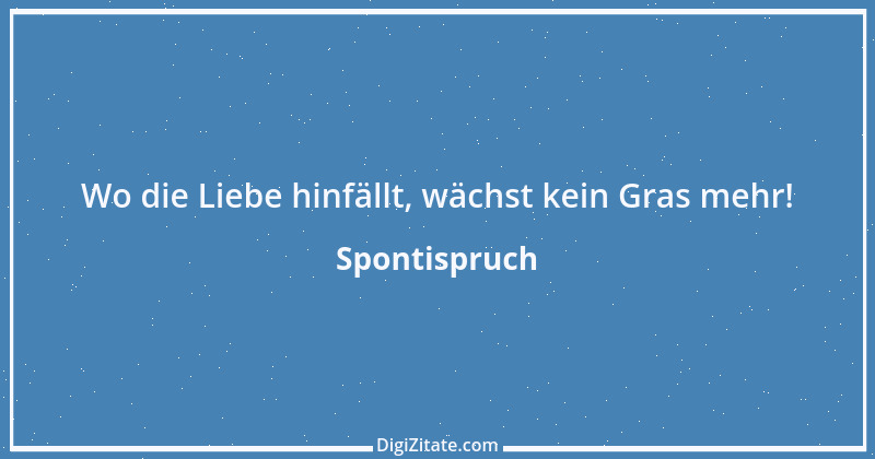 Zitat von Spontispruch 40