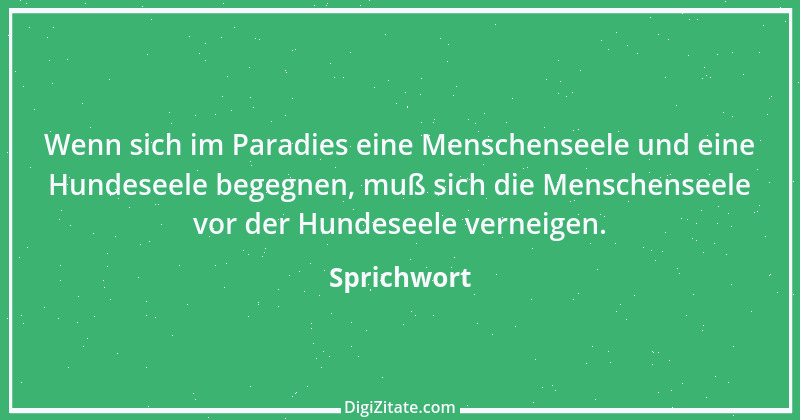 Zitat von Sprichwort 995