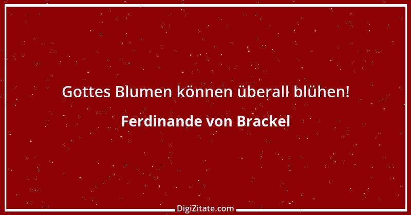 Zitat von Ferdinande von Brackel 5