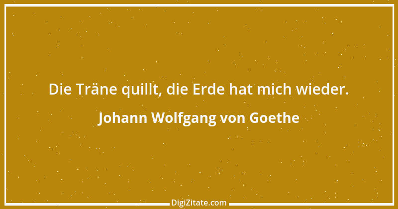 Zitat von Johann Wolfgang von Goethe 3005