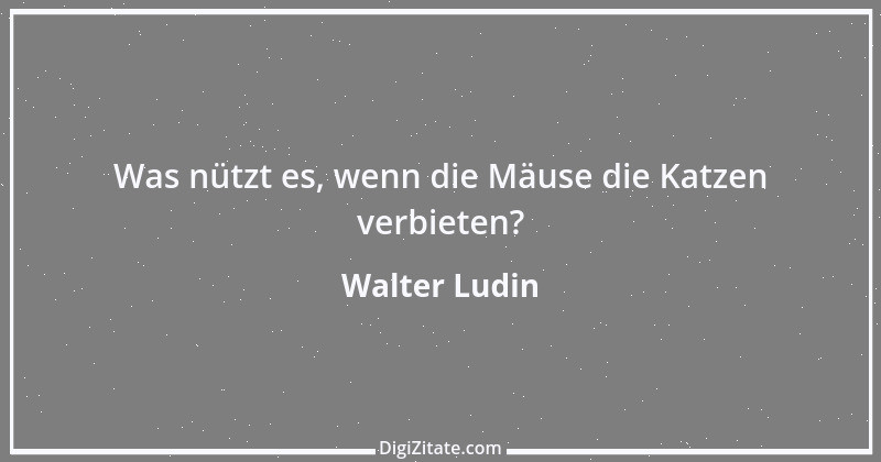 Zitat von Walter Ludin 507