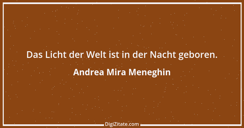 Zitat von Andrea Mira Meneghin 344