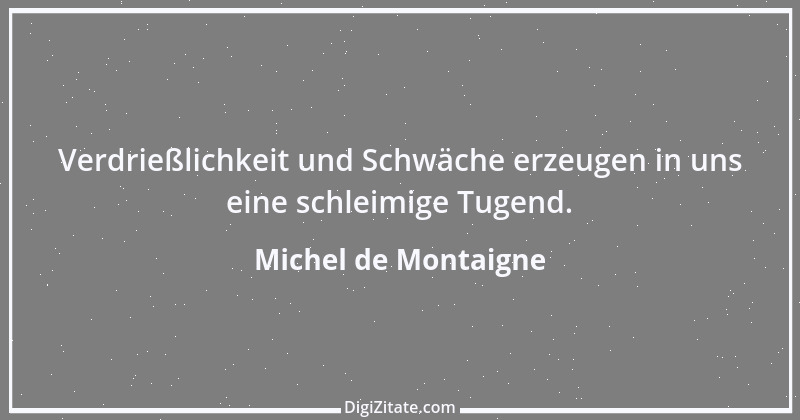 Zitat von Michel de Montaigne 442