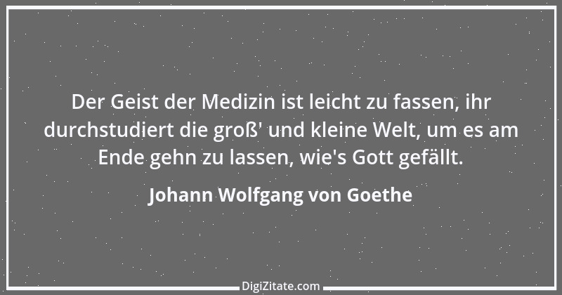 Zitat von Johann Wolfgang von Goethe 1006