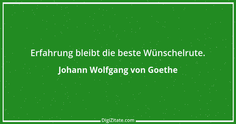 Zitat von Johann Wolfgang von Goethe 4006