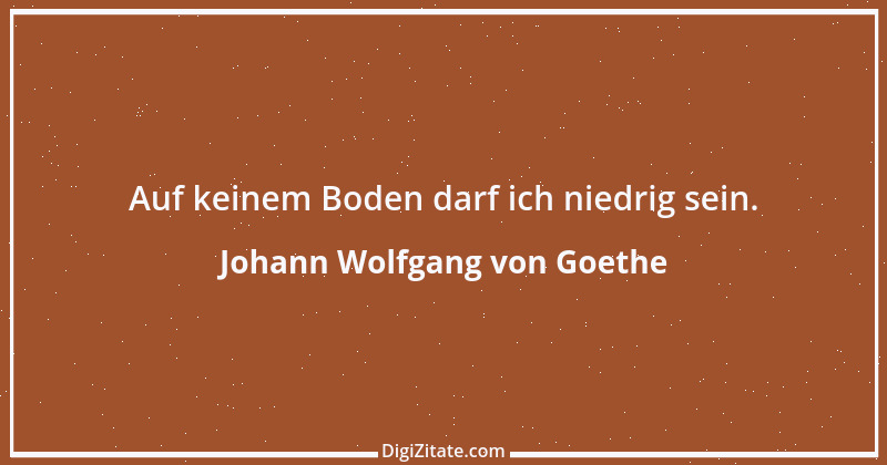 Zitat von Johann Wolfgang von Goethe 6