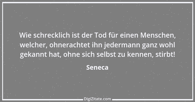 Zitat von Seneca 142