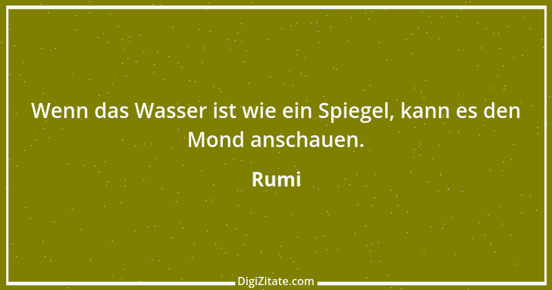 Zitat von Rumi 19