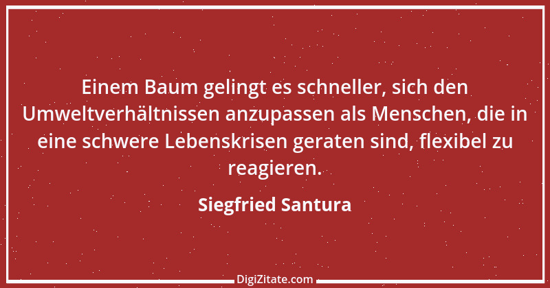 Zitat von Siegfried Santura 27