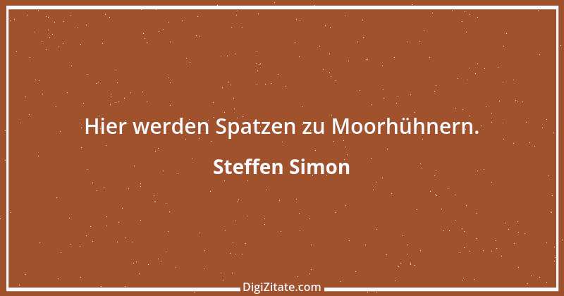 Zitat von Steffen Simon 2