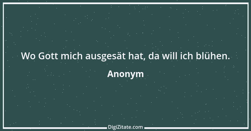 Zitat von Anonym 5977