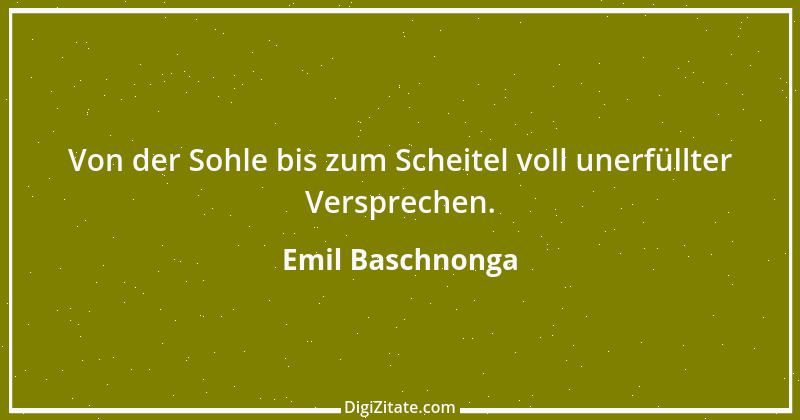 Zitat von Emil Baschnonga 405